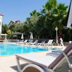 Nefis Turkey